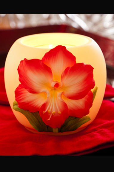 Amaryllis Votive - DiFranz GiftsTea Lightibis and orchid