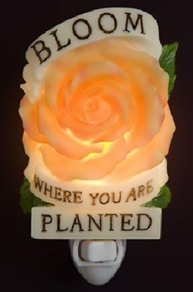 Bloom Where You Are Planted Ibis & Orchid Night Light - DiFranz GiftsNight Lightibis and orchid
