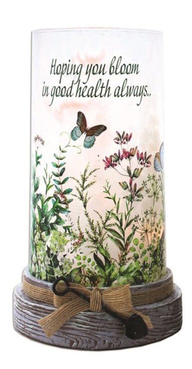 Stony Creek Good Health Garden Hope Pre - Lit Cylinder w/ Base - DiFranz GiftsLighted VaseStony Creek